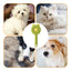CT9399 1 Pieza De Cepillo Para Mascota