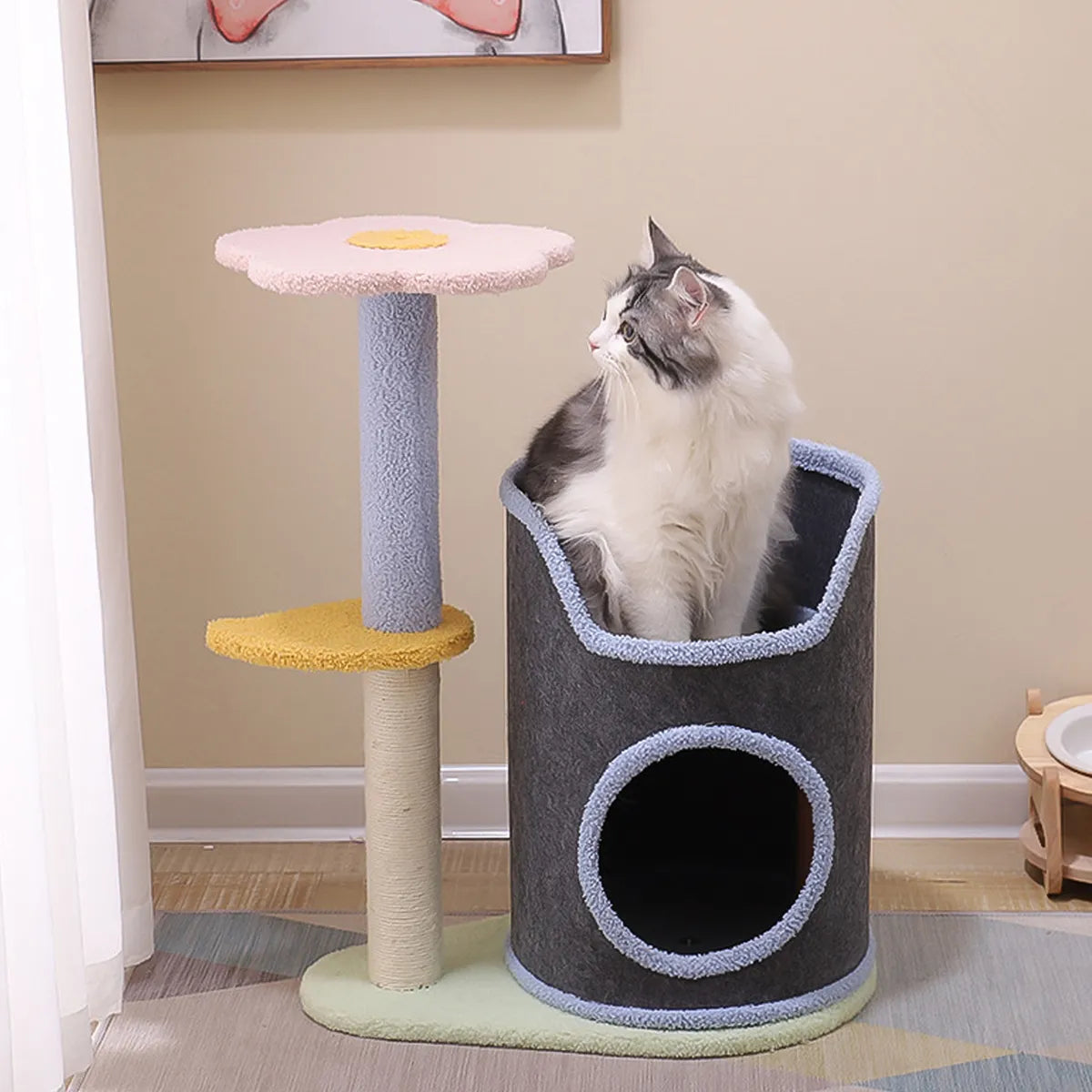 CT9785 1 Pieza de Rascador Para Gato