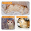 CT2968 1 Pieza De Cama Túnel Interactivo De Felpa Con Cojín Y Pompón Para Mascotas