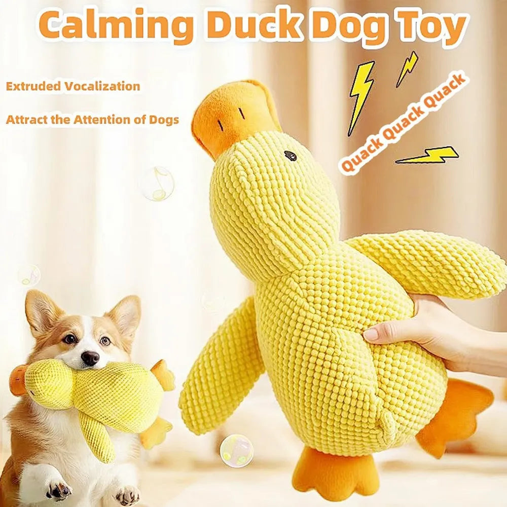 CT7996 1 Pieza De Juguete Para Mascota