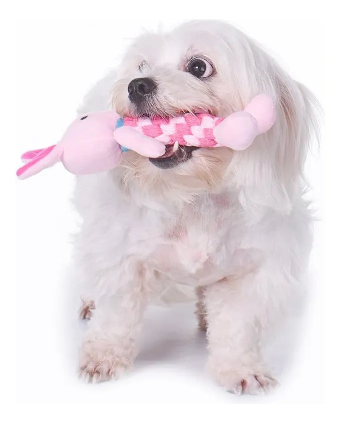 CT9443 1 Pieza De Juguete Para Mascota