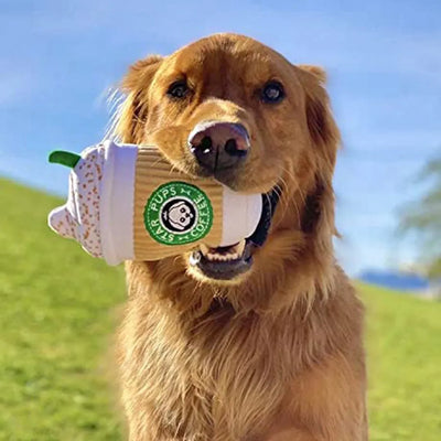 CT8017 1 Pieza De Juguete Para Mascota