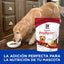 CT0899 1 Pieza De Alimento Snacks Con Manzanas y Avena