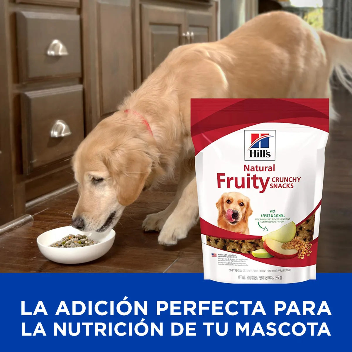 CT0899 1 Pieza De Alimento Snacks Con Manzanas y Avena