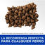 CT8790 1 Pieza De Alimento Golosina Con Pollo