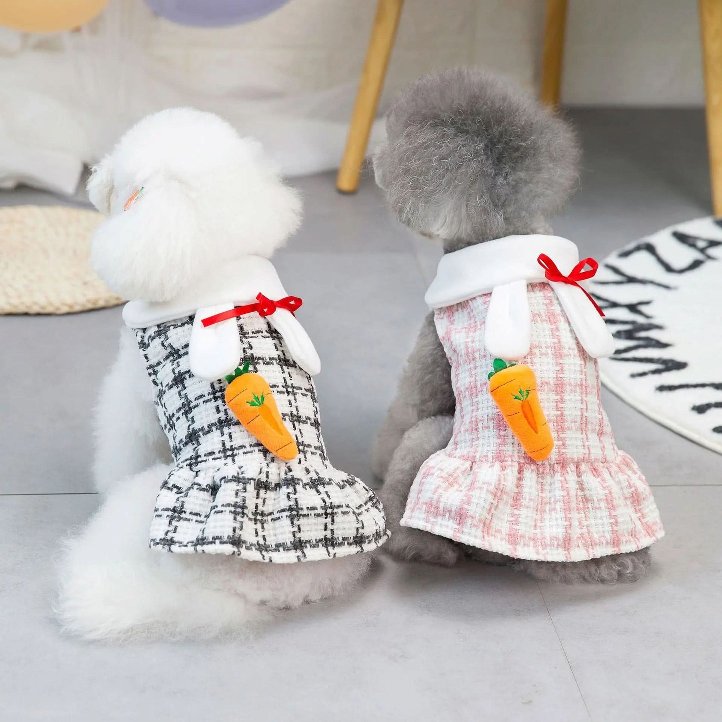 CT5702 1 Pieza De Ropa Para Mascota Con Diseño