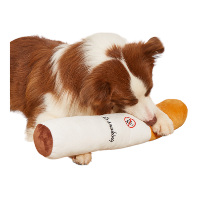 CT4188 1 Pieza De Juguete Para Mascota