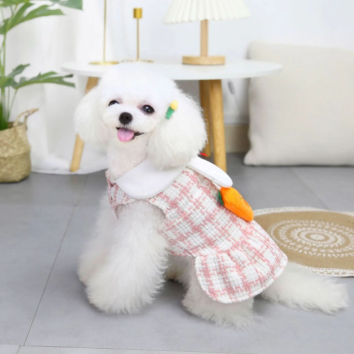 CT5702 1 Pieza De Ropa Para Mascota Con Diseño