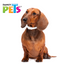 FL3602 1 Pieza De Collar Antipulgas Para Razas Chicas y Cachorros