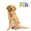 FL3604 1 Pieza De Collar Antipulgas Para Razas Grandes