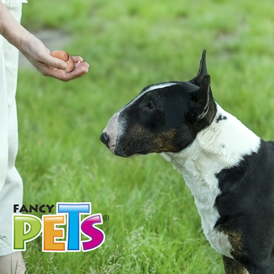 FL3748 180g Doggies Carnaza Suave Para Mascota