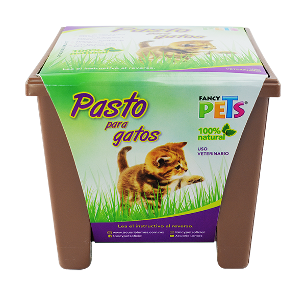 FL3916 1 Pieza De Pasto Para Gato