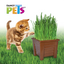 FL3916 1 Pieza De Pasto Para Gato