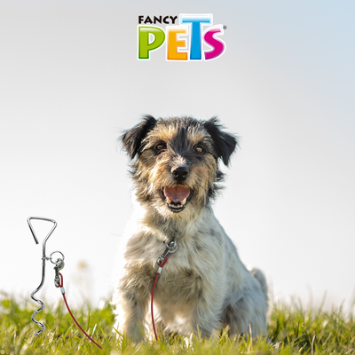 FL9119 1 Pieza De Cable Para Sujetar Mascota