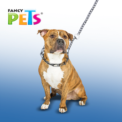 FL9131 1 Pieza De Collar De Entrenamiento Para Mascota