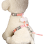 CT0332 1 Pieza De Pechera Para Mascota