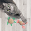CT3000  1 Set de 2 Piezas Juguetes Amigos Tropicales Para Mascotas
