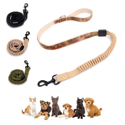 CT9772 1 Pieza De Collar Con Correa Para Mascota