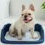 CT2136 1 Pieza De Tapete Entrenador Para Mascota
