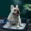 CT2136 1 Pieza De Tapete Entrenador Para Mascota