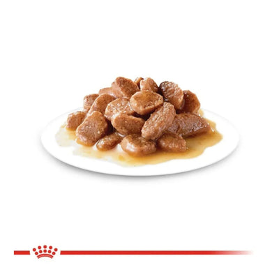 CT0442 1 Pieza De Alimento Cuidado Cabello y Piel Para Gato