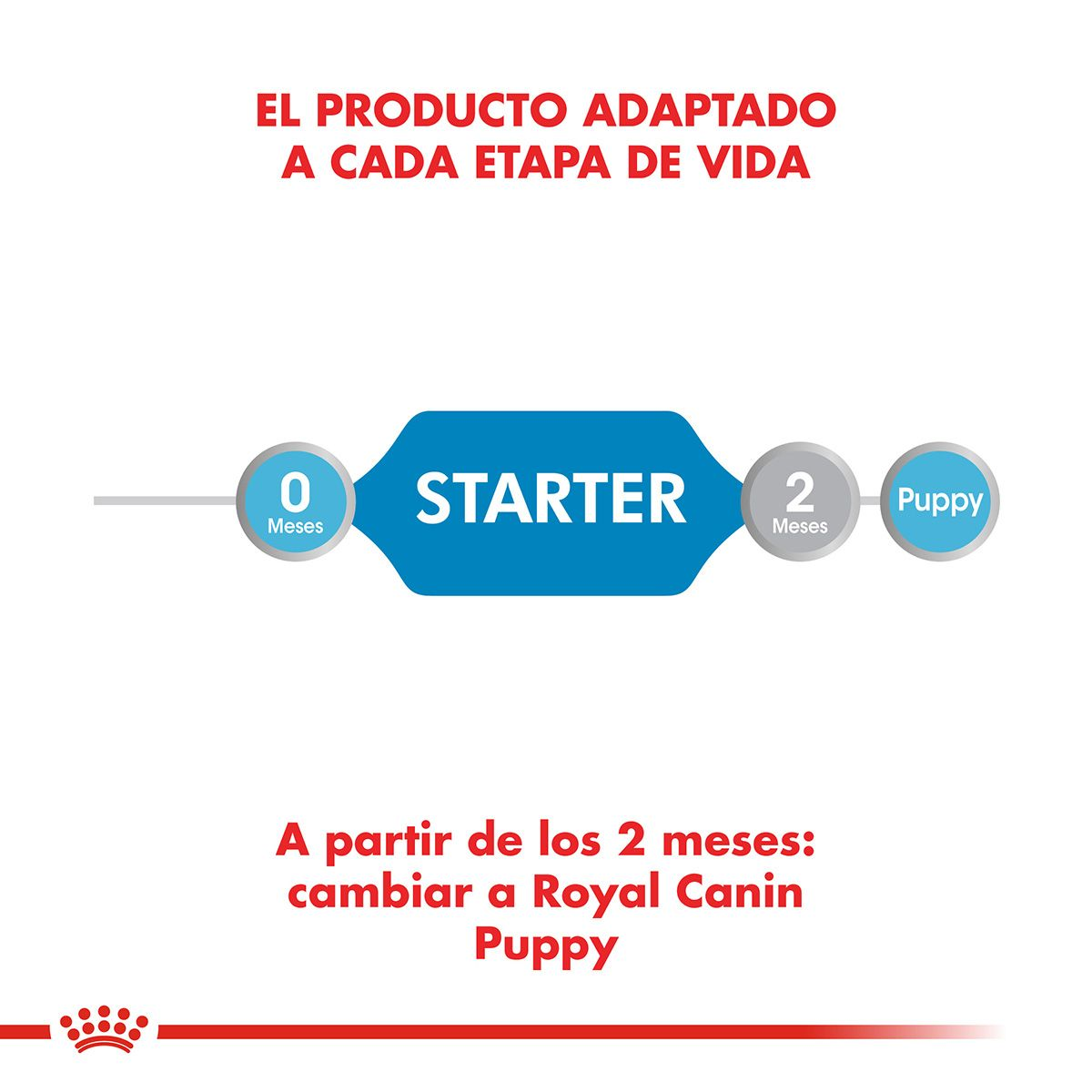 CT2525 1 Pieza De Alimento Comienzo Madre y Perrito