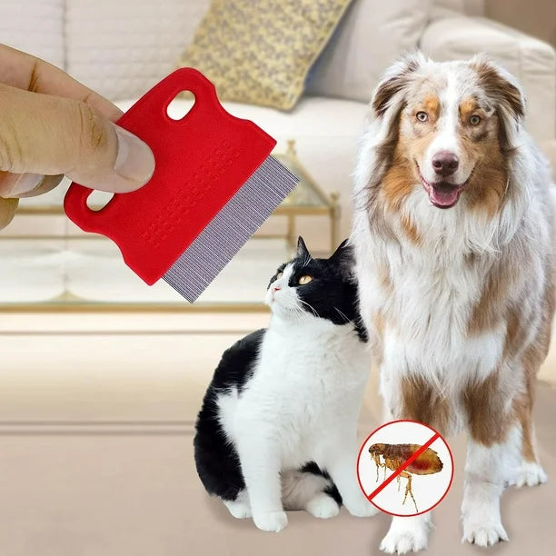 CT1672 1 Pieza De Cepillo Para Mascota