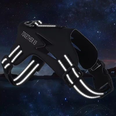 CT6923 1 Pieza De Pechera Para Mascota