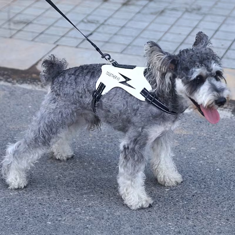 CT6923 1 Pieza De Pechera Para Mascota