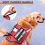 CT0018 1 Pieza De Pechera Para Mascota & 1 Pieza De Correa