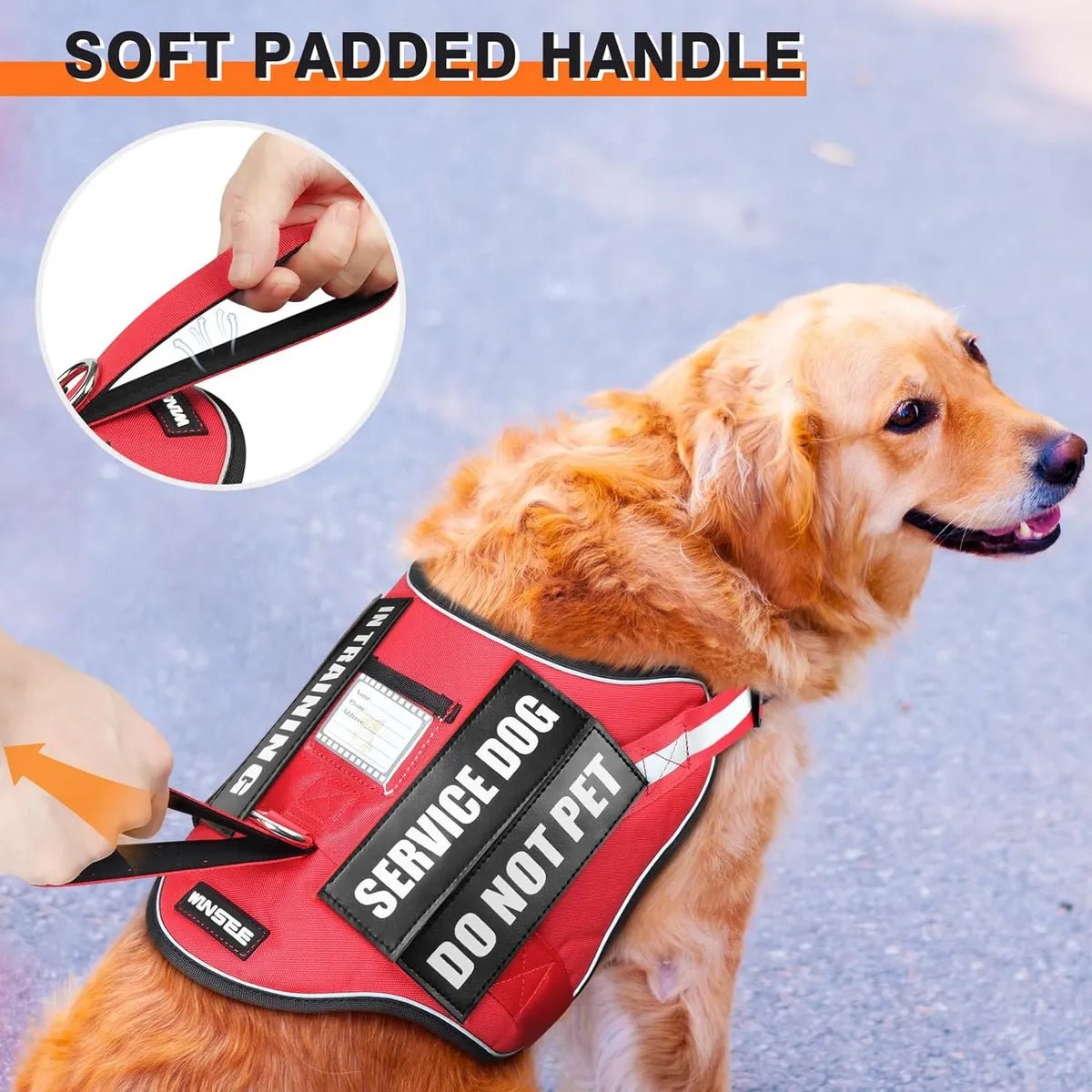 CT0018 1 Pieza De Pechera Para Mascota & 1 Pieza De Correa