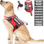 CT0018 1 Pieza De Pechera Para Mascota & 1 Pieza De Correa