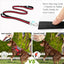 CT0018 1 Pieza De Pechera Para Mascota & 1 Pieza De Correa