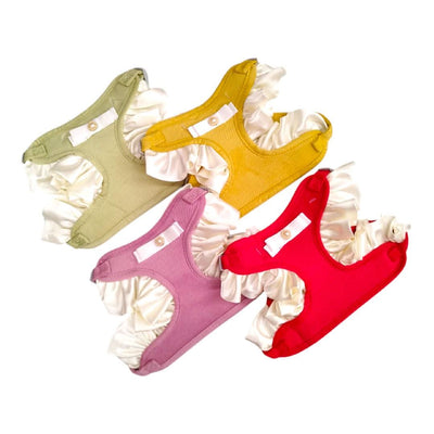 CT0070 1 Pieza De Pechera Con Correa Para Mascotas