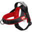 CT0100 1 Pieza De Pechera Con Correa Para Mascota