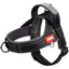 CT0100 1 Pieza De Pechera Con Correa Para Mascota