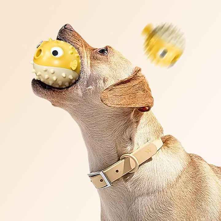 CT0117 1 Pieza De Juguete Dispensador Con diseño de Pez Para Mascota