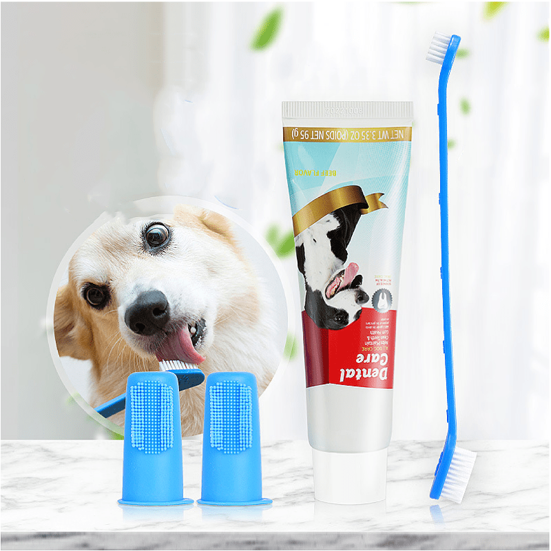 CT0189 1 Pieza Cepillo De Dientes Doble, 2 De Dedo y 1 Pasta De Dientes