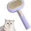 CT0218 1 Pieza De Cepillo Autolimpiante Para Mascota