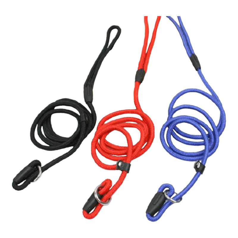 CT0228 1 Pieza De Correa De Entrenamiento Para Mascota