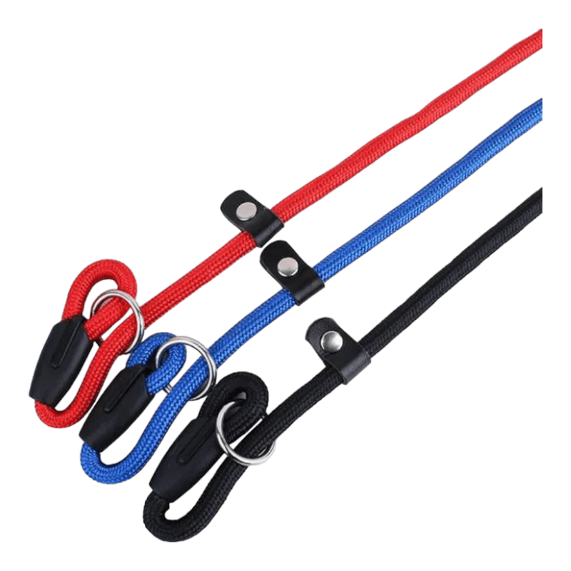 CT0228 1 Pieza De Correa De Entrenamiento Para Mascota