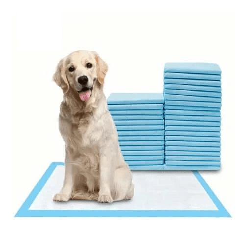 CT0232 1 Paquete Con 10 Piezas De Tapete Entrenador