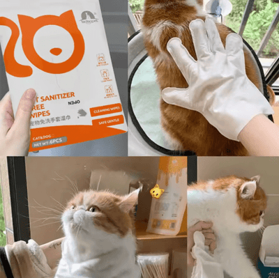 CT0252 1 Paquetes De Toallita De Guante Limpieza Para Mascota