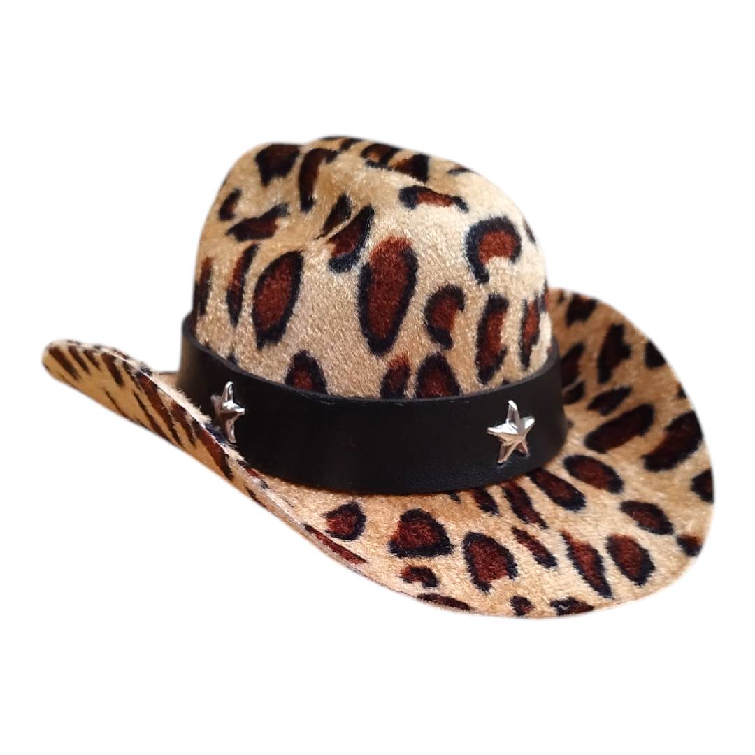 CT0260 1 Pieza De Sombrero Para Mascota
