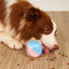 CT0261 1 Pieza De Juguete Para Mascota