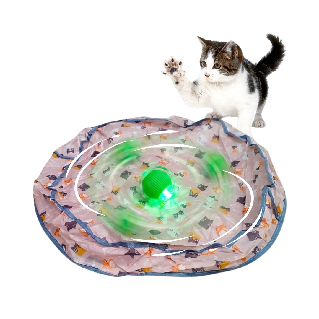 CT0277 1 Pieza De Juguete Interactivo Pelota Inteligente Y Bolsa De Juego Para Mascotas