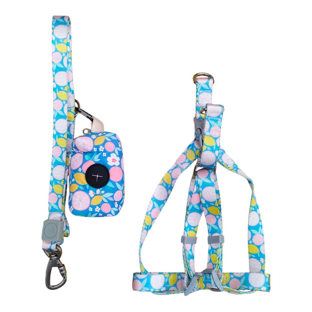 CT0321 1 Pieza De Pechera Con Correa Con Dispensador De Basura Para Mascota