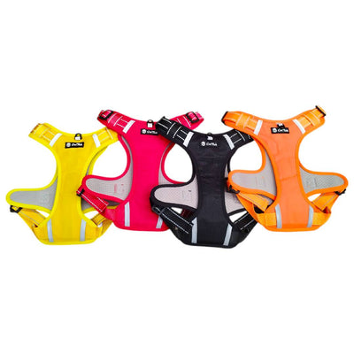 CT0339 1 Pieza De Pechera Con Correa Para Mascota