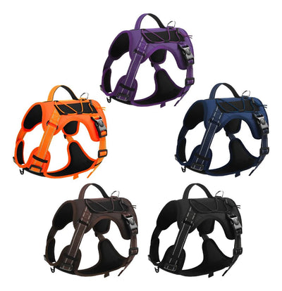 CT0357 1 Pieza De Pechera Con Correa Para Mascota