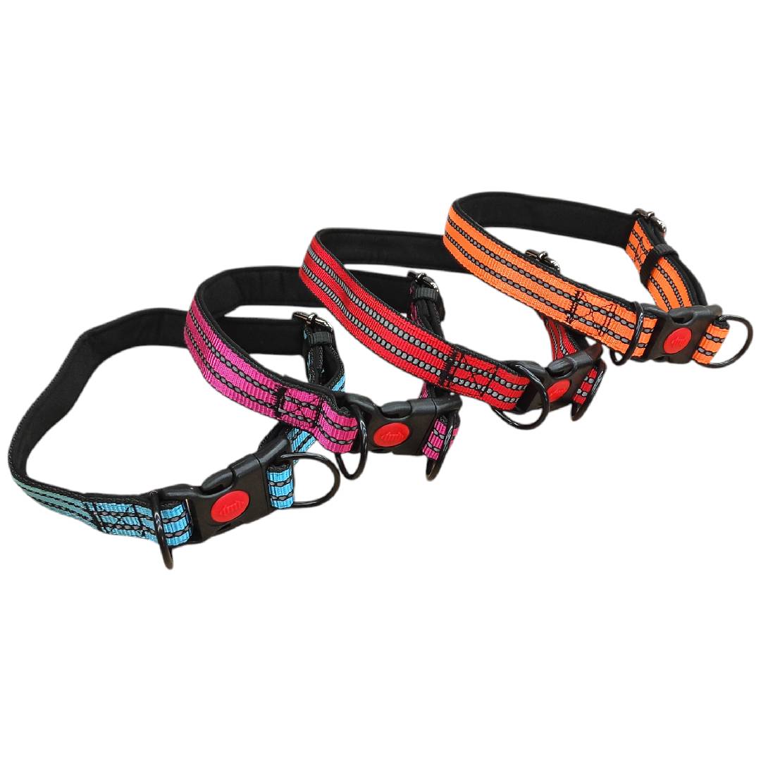 CT0407 1 Pieza De Correa & 1 Pieza Collar Para Mascota